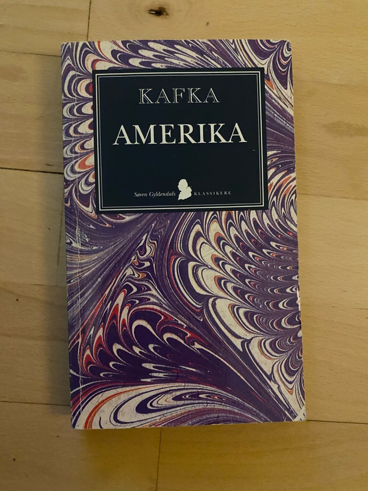 Amerika, Franz Kafka, genre: roman