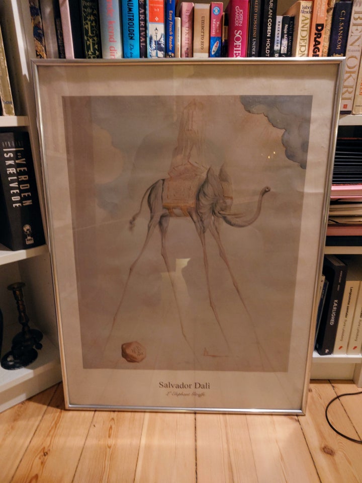 Plakat, Salvador Dali, b: 60 h: 82