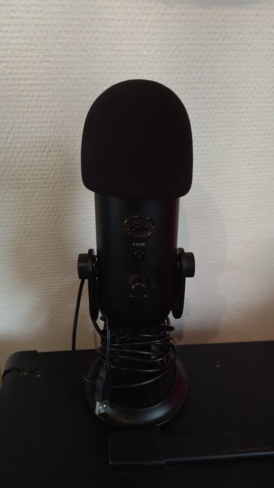 Mikrofon, Blue Yeti, Perfekt