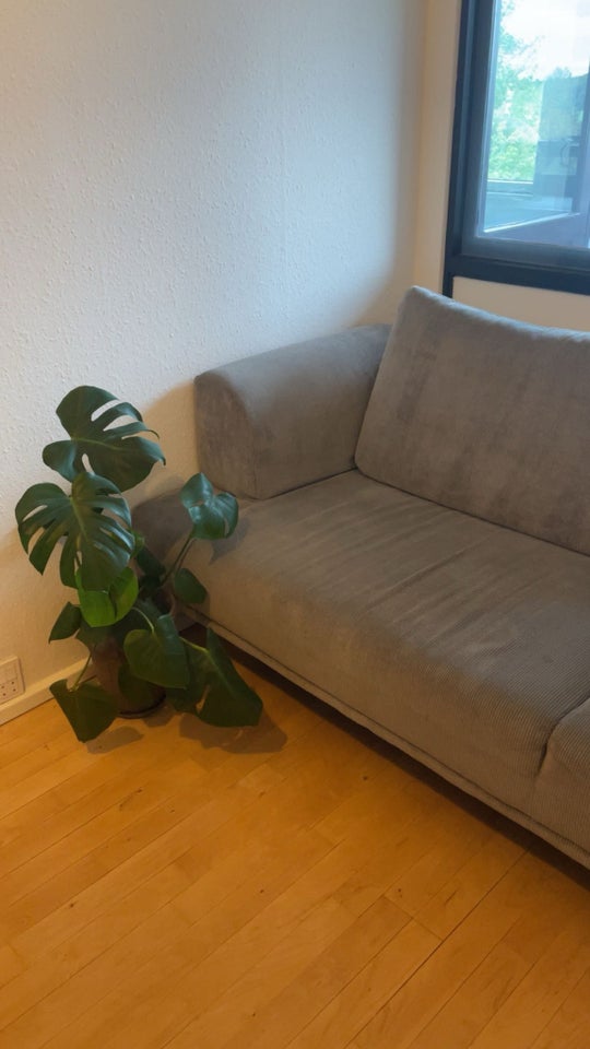 Sofa, fløjl, 3 pers.