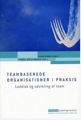 Teambaserede organisation i