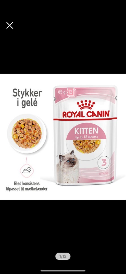 Kattefoder, Royal Canin kitten