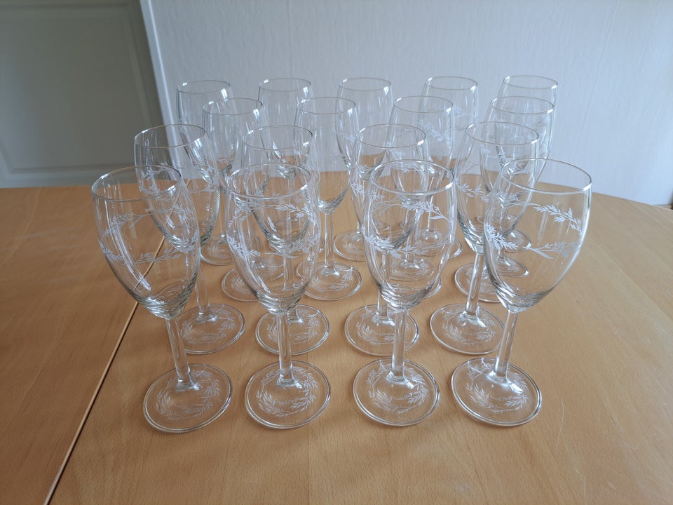 Glas Hvidvinsglas og