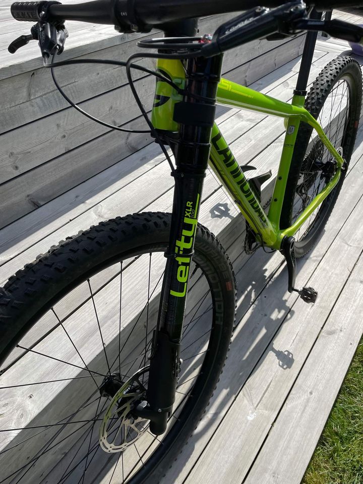 Cannondale Lefty 29" Carbon