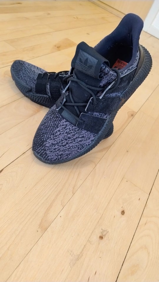 Sneakers, Adidas prophere, str.