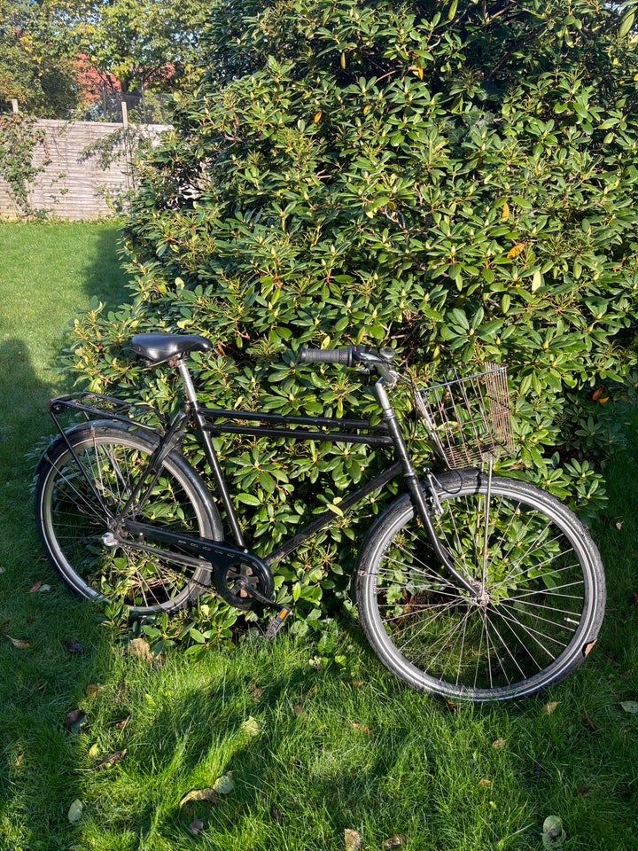 Vintage Men's Bike