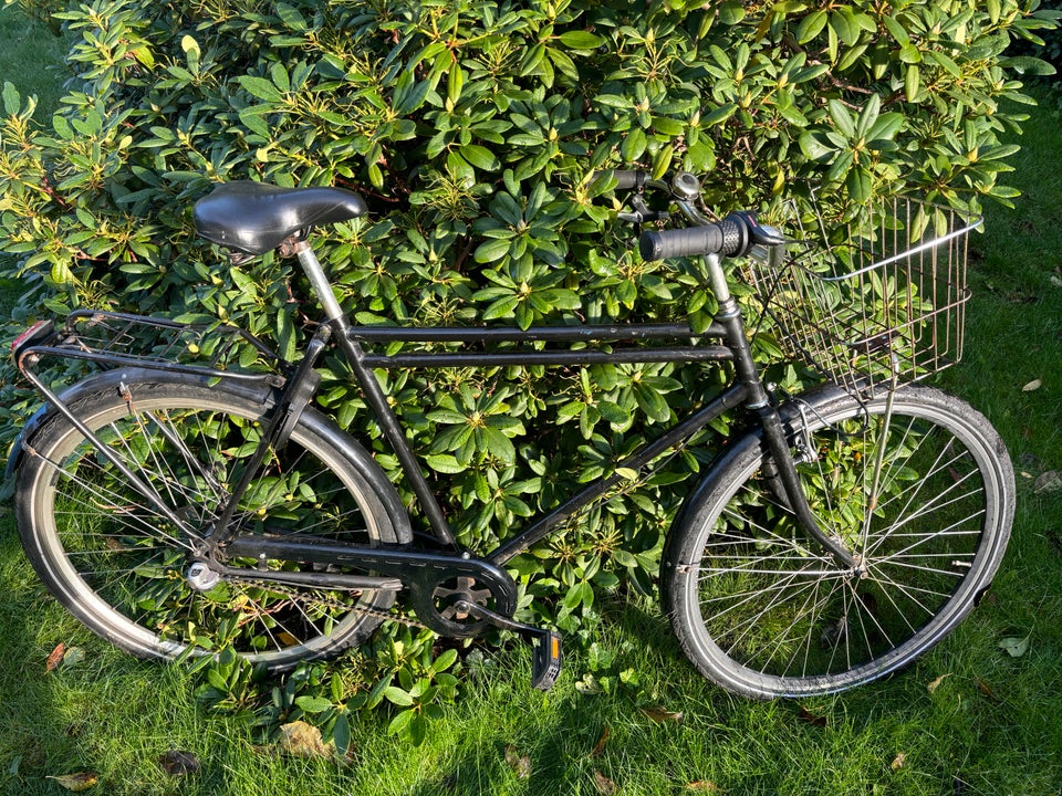 Vintage Men's Bike