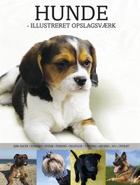 HUNDE, Lotte Laursen, emne: dyr