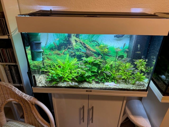 Akvarium, 140 liter, b: 80 d: 35 h: 50