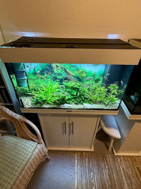 Akvarium, 140 liter, b: 80 d: 35 h: 50