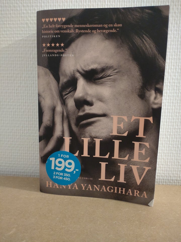 Et lille liv, Hanya Yanagihara,