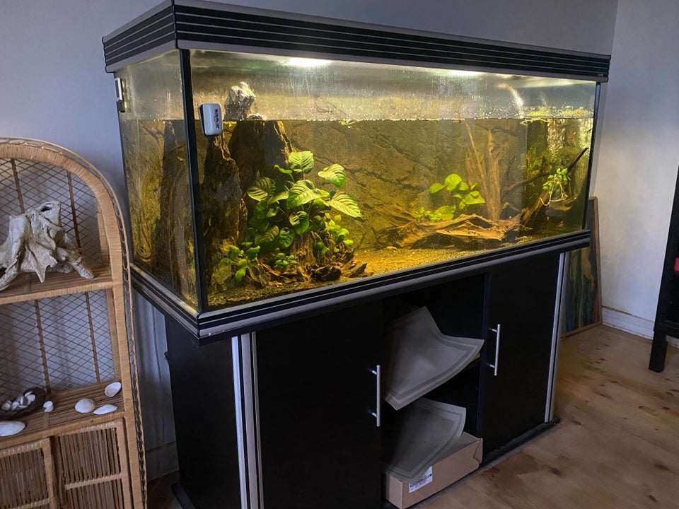 Akvarium 650 liter