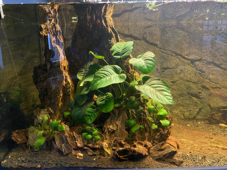 Akvarium 650 liter