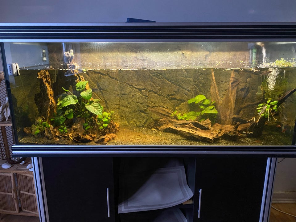 Akvarium 650 liter