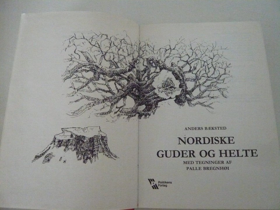 Nordiske guder og helte, Anders