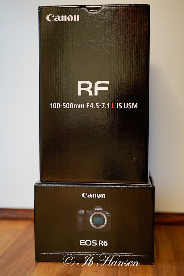 zoom, Canon, rf 100 500 -R6