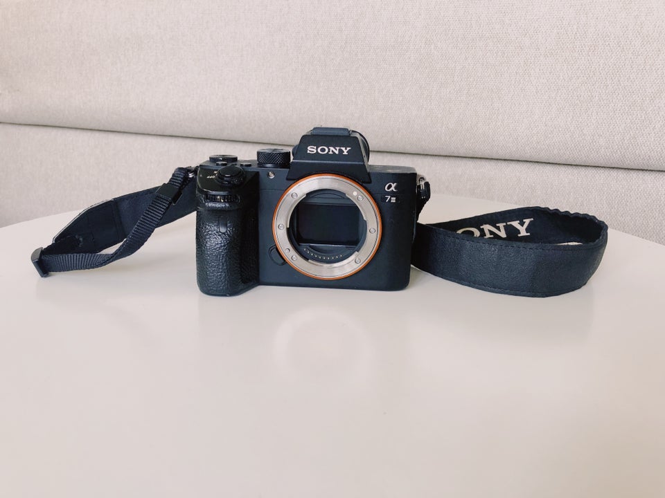 Sony, Sony A7iii, 24,2 megapixels