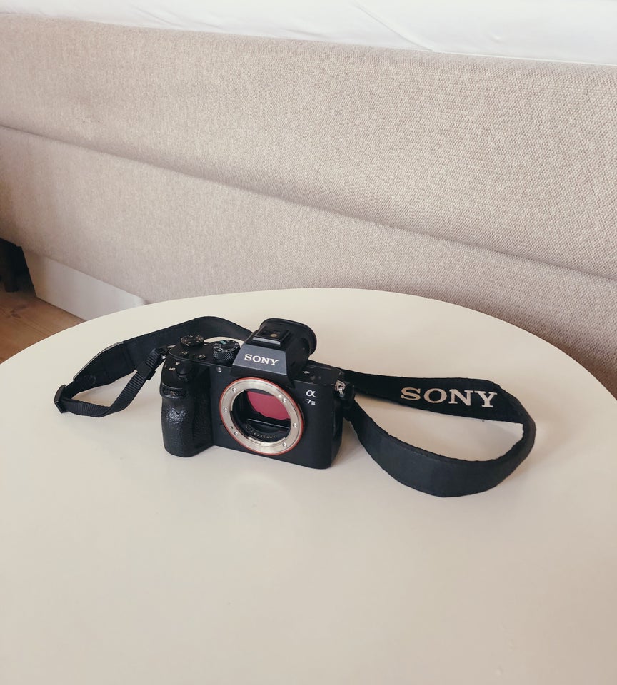 Sony, Sony A7iii, 24,2 megapixels