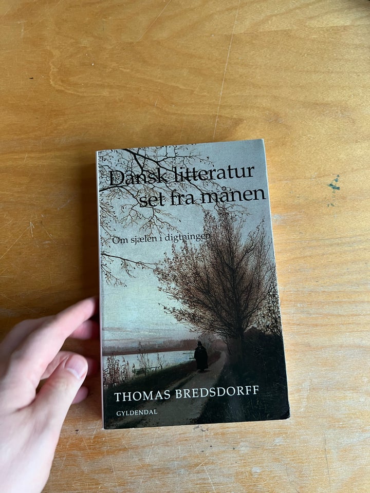 Dansk litteratur set fra månen,