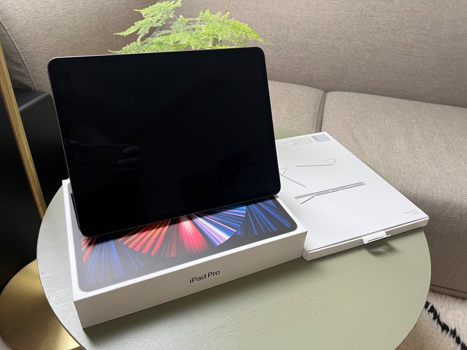 iPad Pro 5 128 GB Perfekt