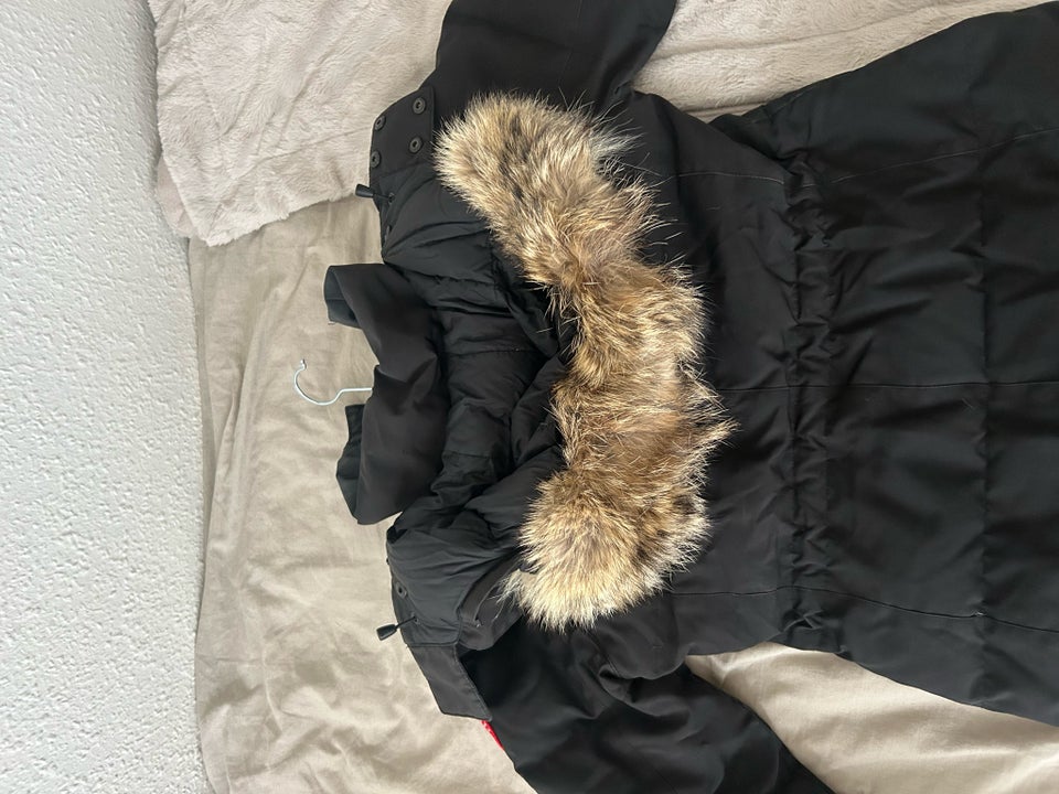 Vinterjakke, str. 36, Canada goose