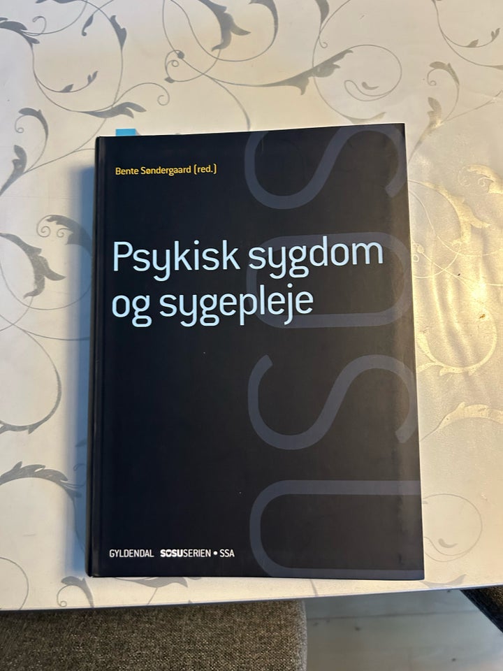 Psykisk sygdom og sygepleje, Bente