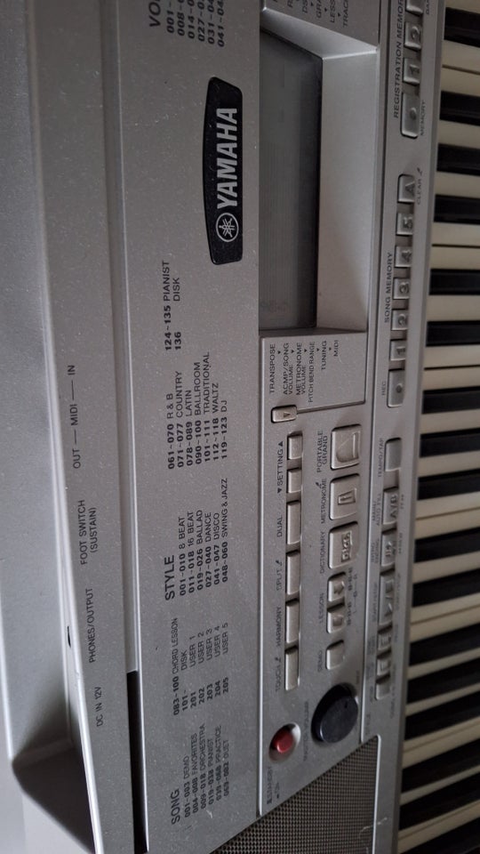 Keyboard, Yamaha Dgx300