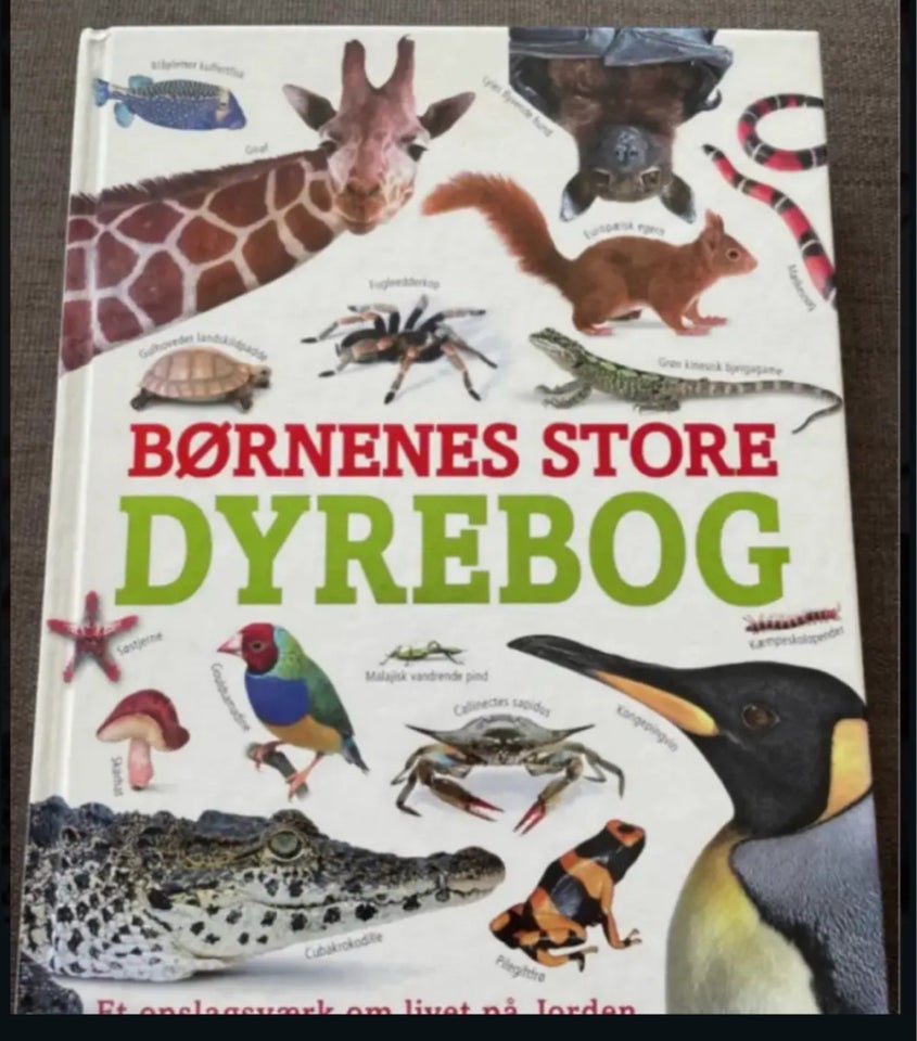 Den store dyrebog, David Burnie