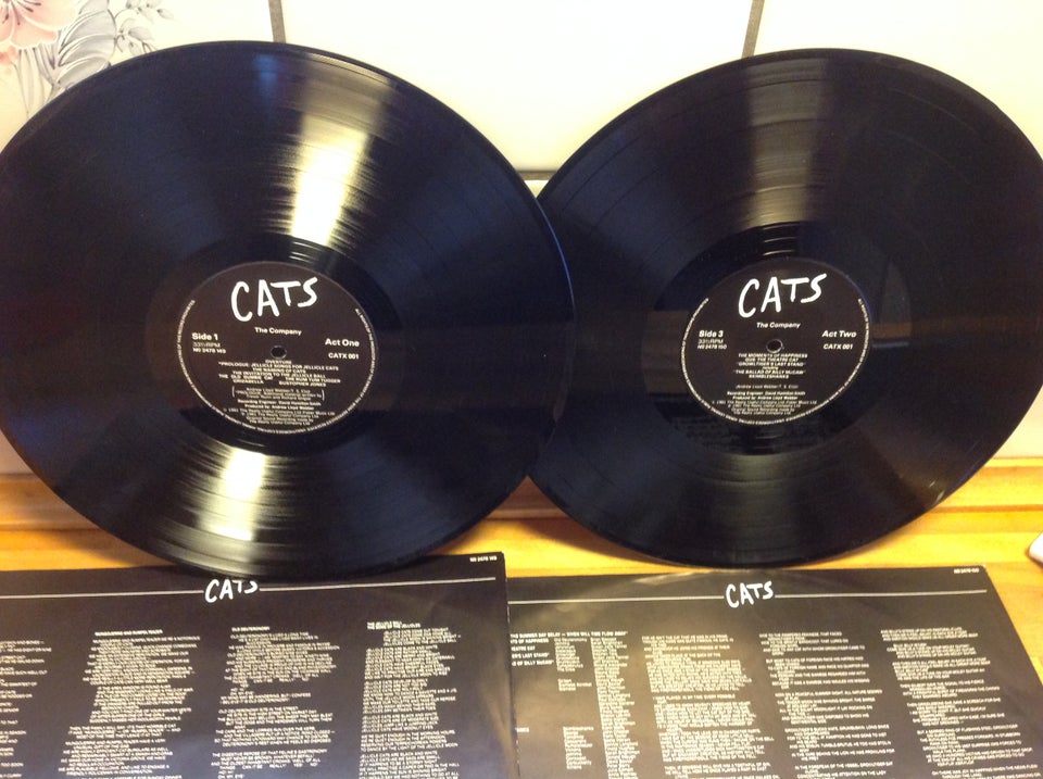 LP, The Cats, The Cats : År 1981