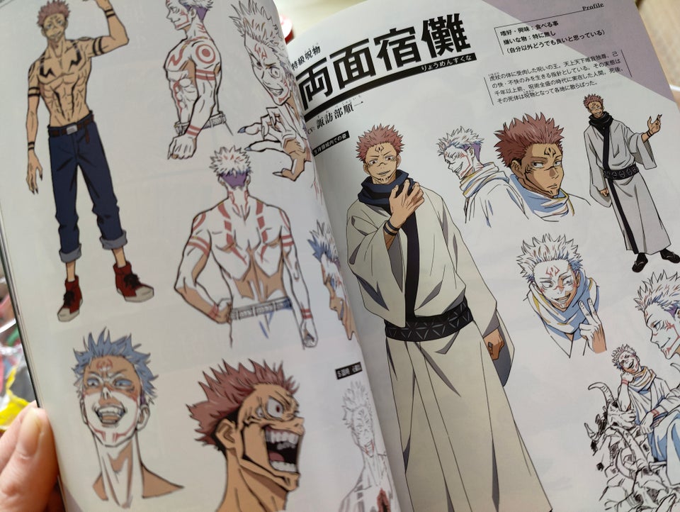 Jujutsu Kaisen Anime Artbook,