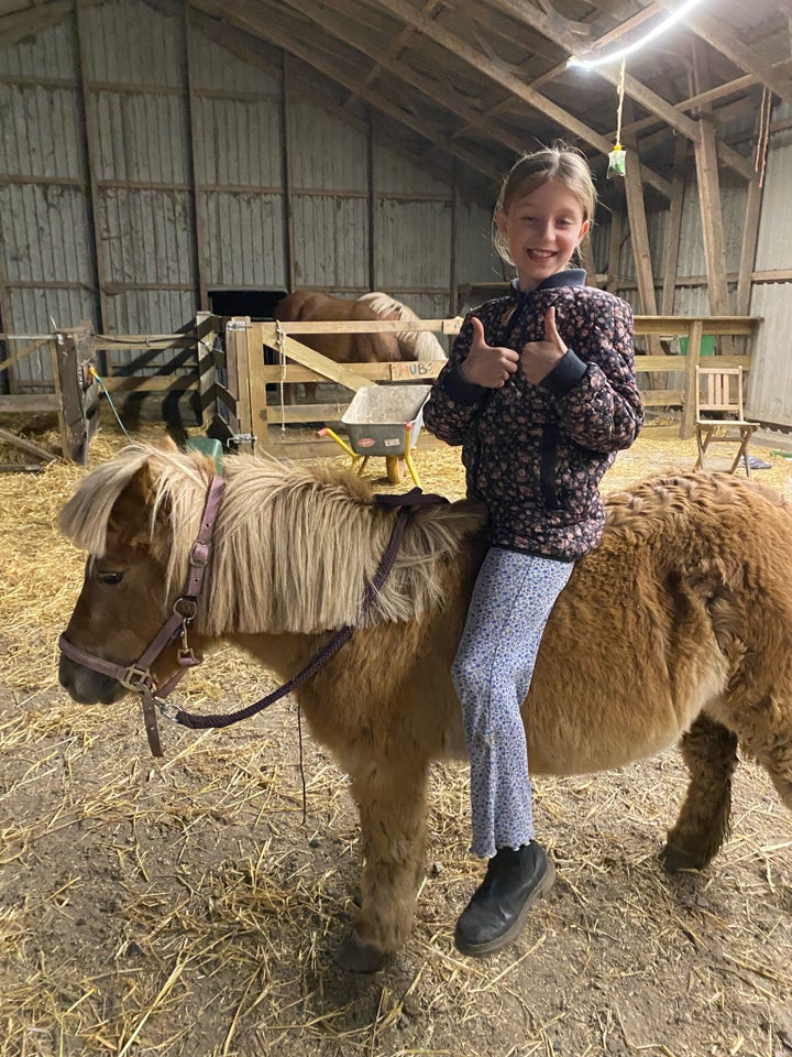 Shetlandspony, hoppe, 22 år