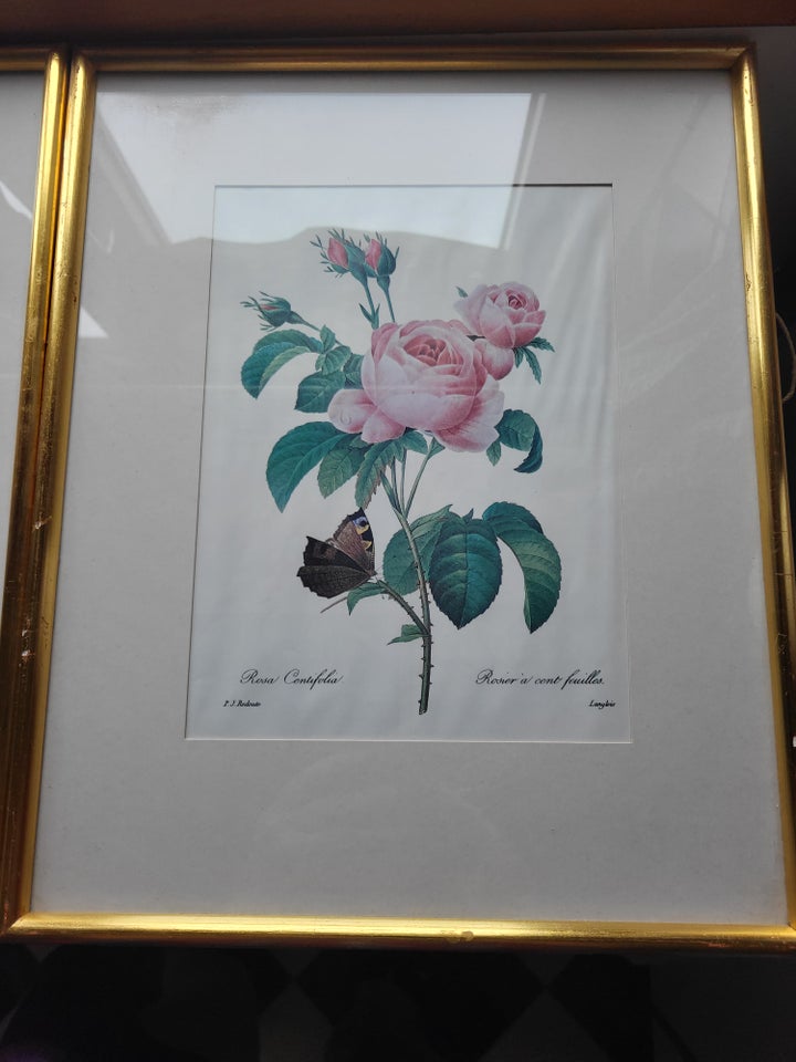 Blomsterprint Pierre Joseph