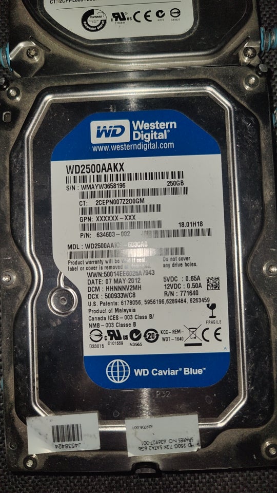 Seagate og Western Digital, 250 GB,