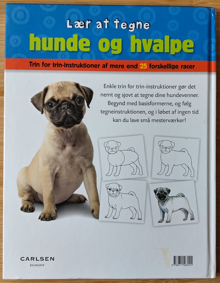 Lær at tegne Hunde og Hvalpe, Robbin