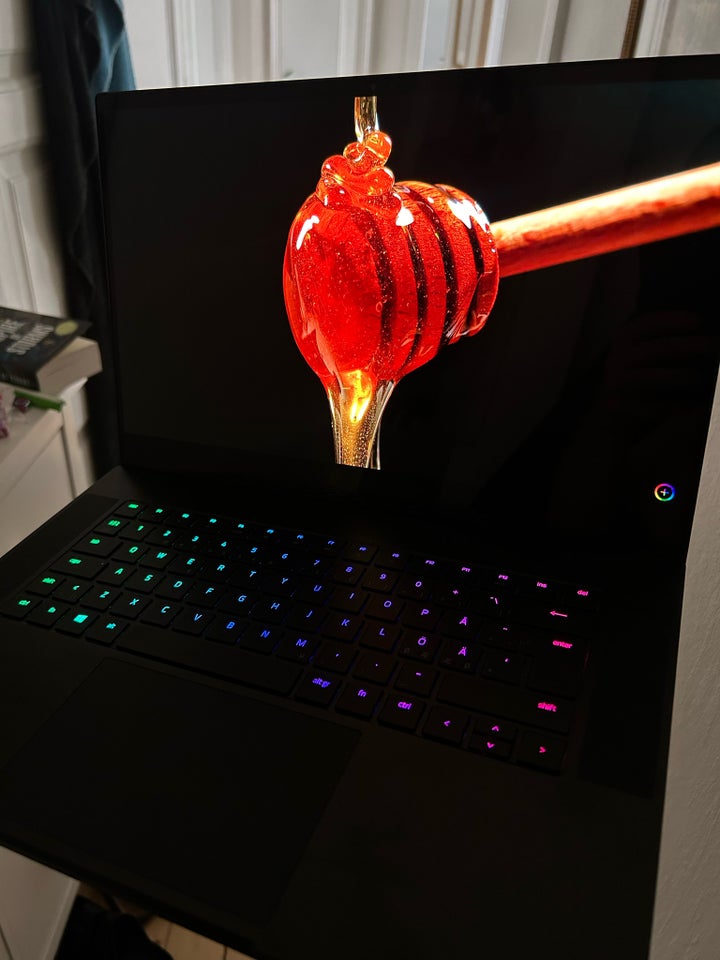 Andet mærke Razer Blade Advanced 15