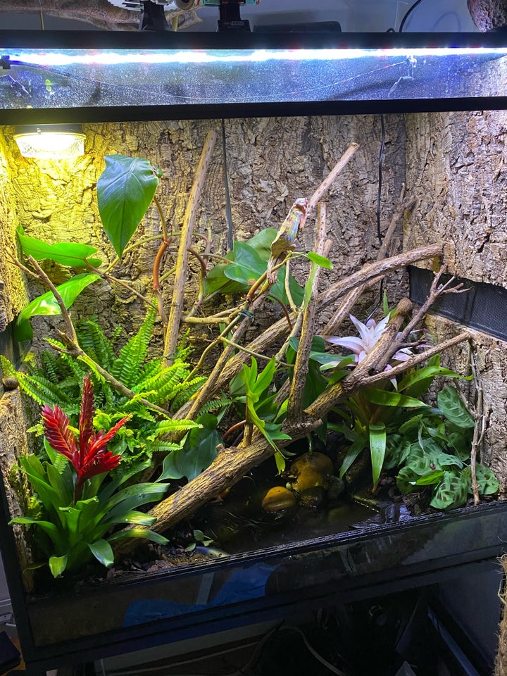 Terrarium, 500 liter, b: 100 d: 50 h: