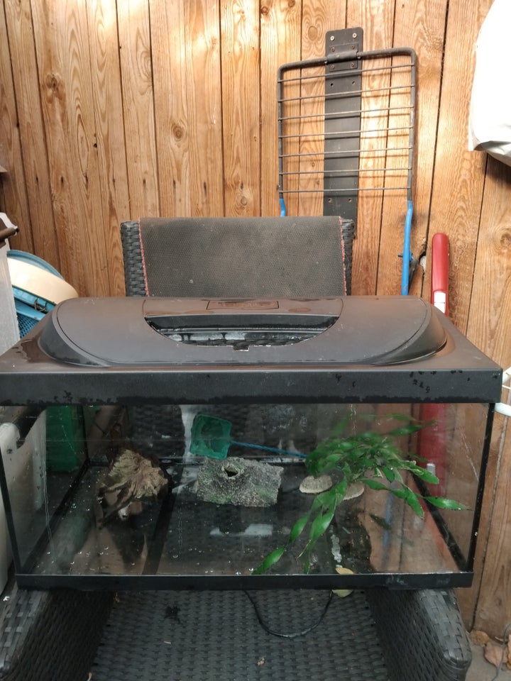 Akvarium, 58 liter, b: 30 d: 60 h: 32