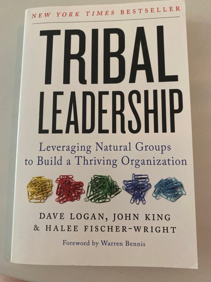 Tribal leadership Dave Logan John