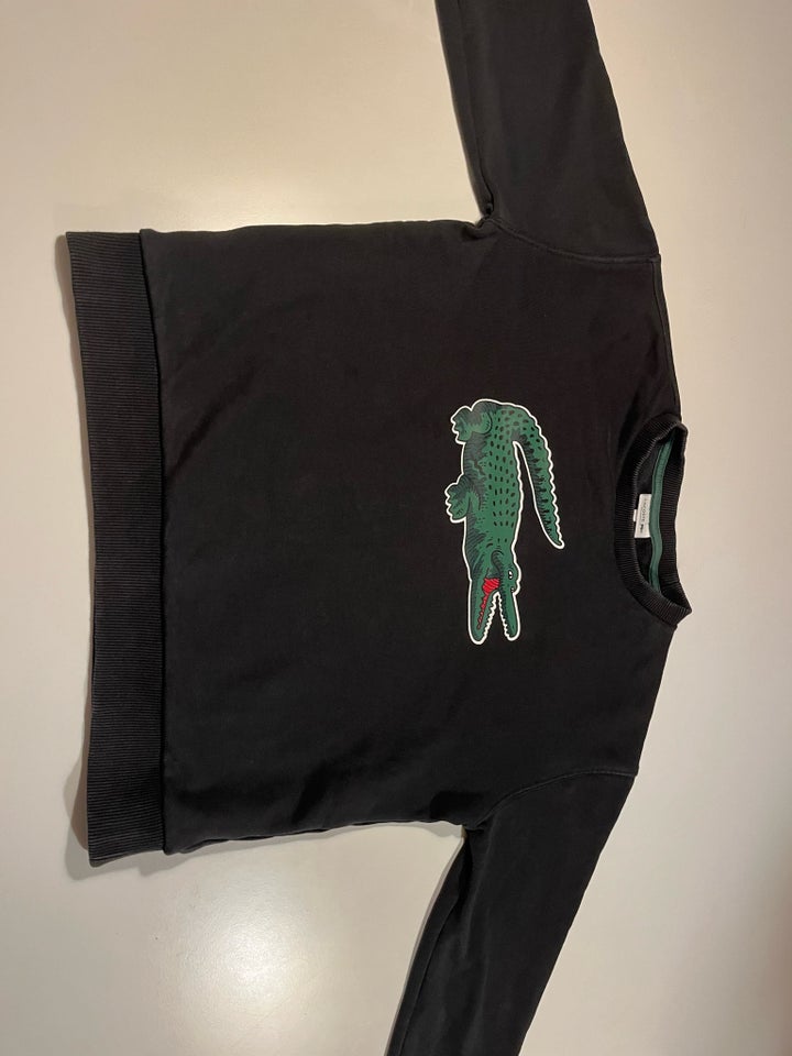 Sweatshirt Bomuld Lacoste