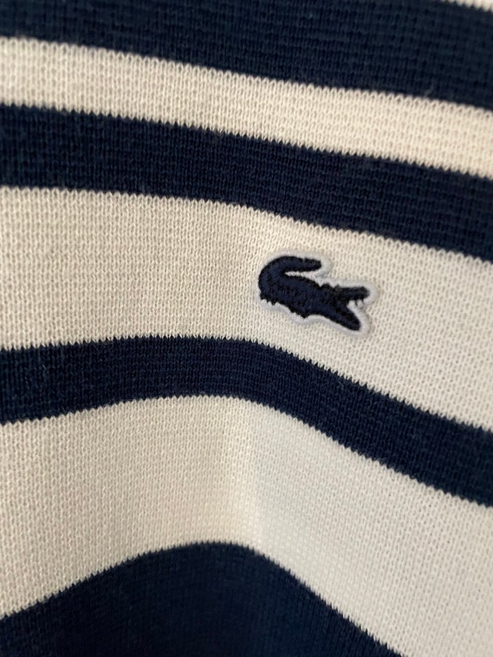 Sweater, Lacoste, str. XXL