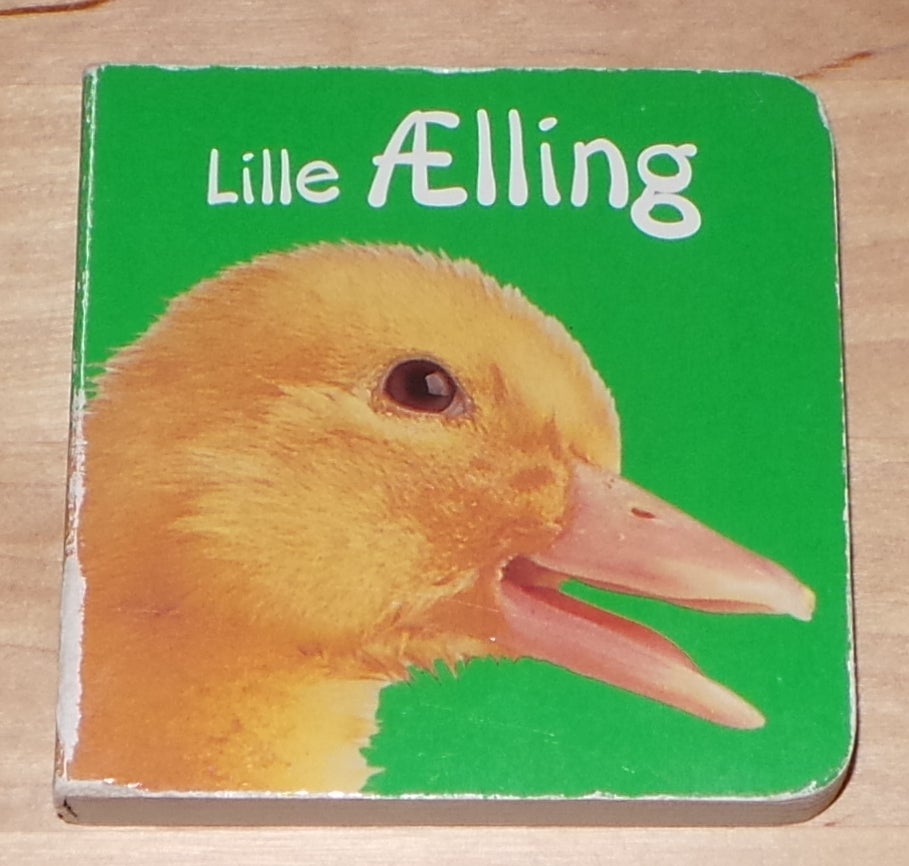 Lille Ælling, 2002 Dorling