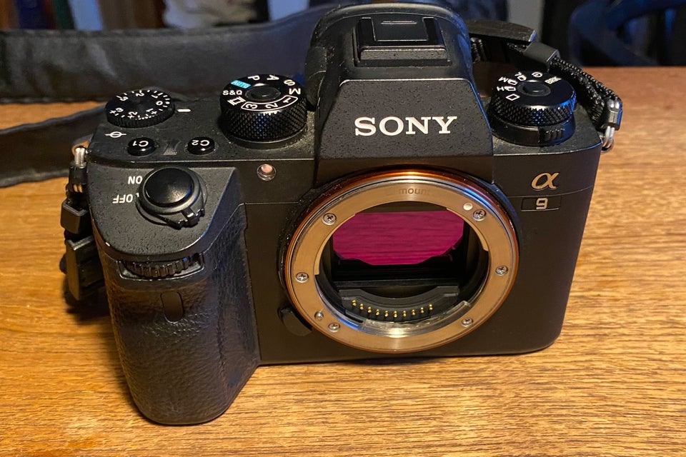 Sony, A9, 24.2 megapixels