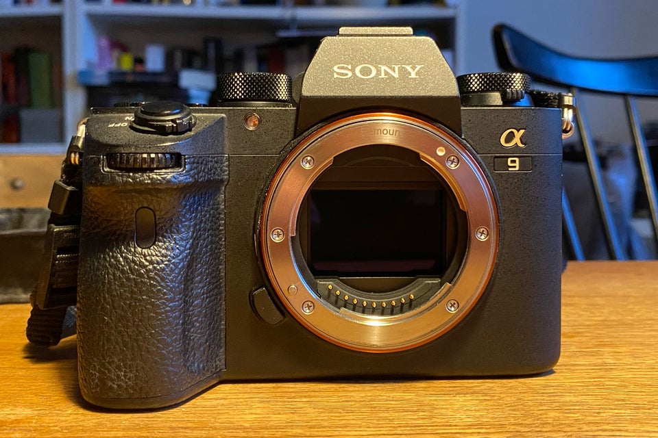 Sony, A9, 24.2 megapixels