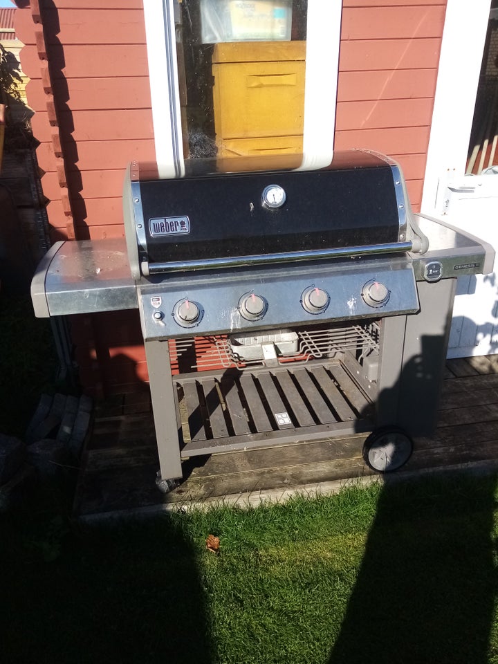 Gasgrill, Weber genesis 2