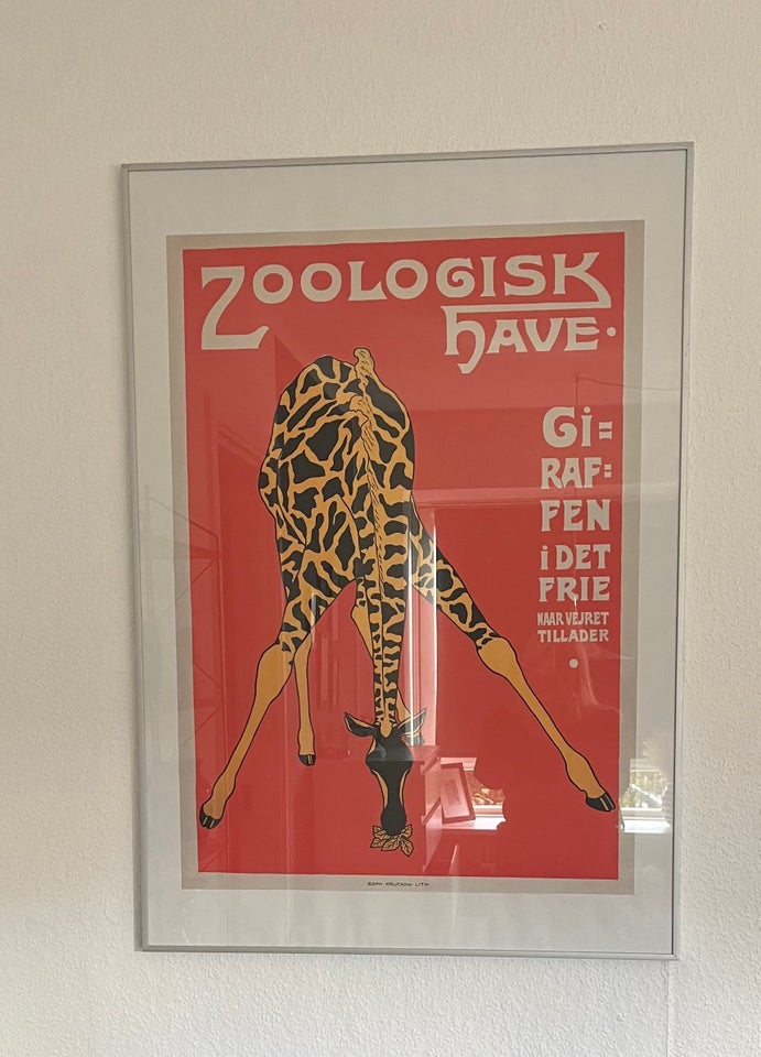 Plakat, motiv: Zoo