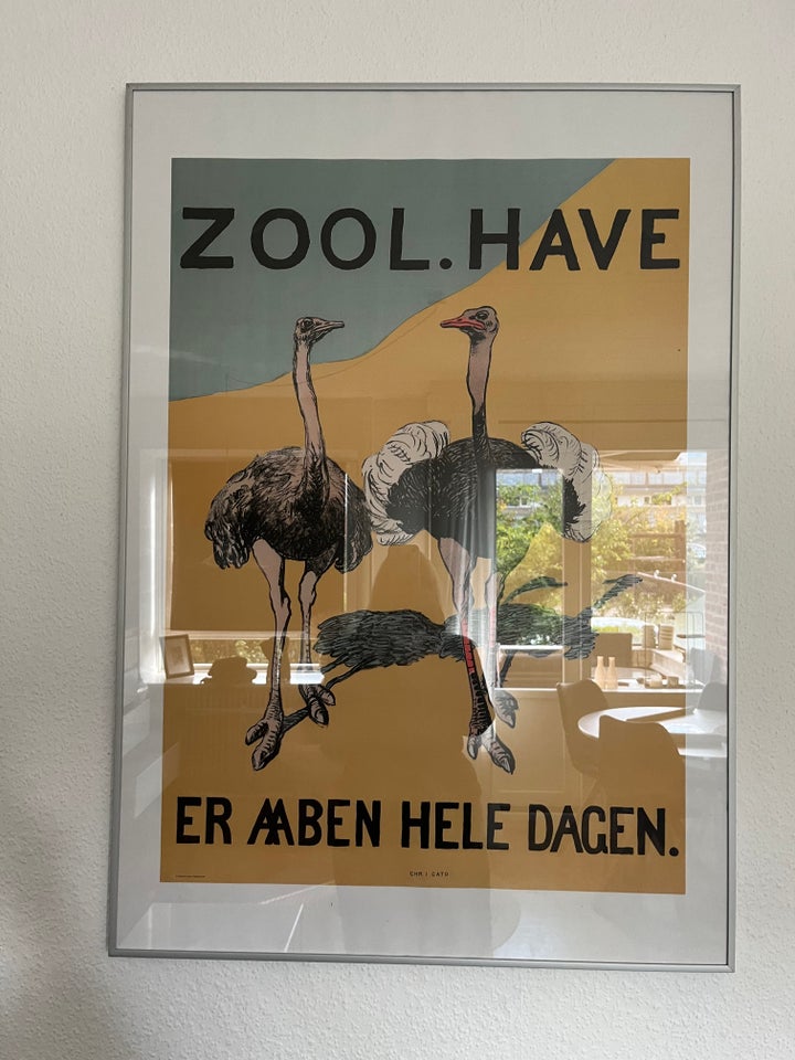 Plakat, motiv: Zoo