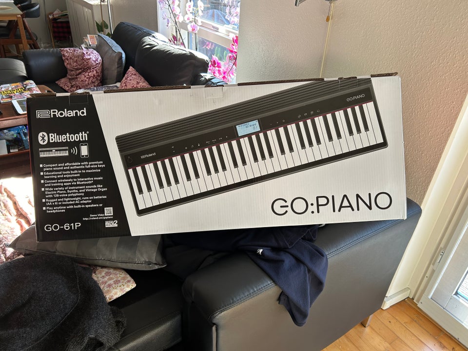 Elklaver Roland Go:PIano 61 key