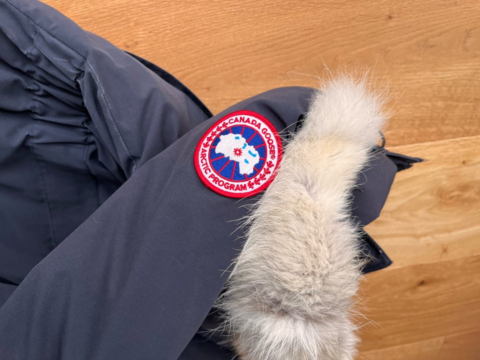 Frakke, str. 38, Canada Goose