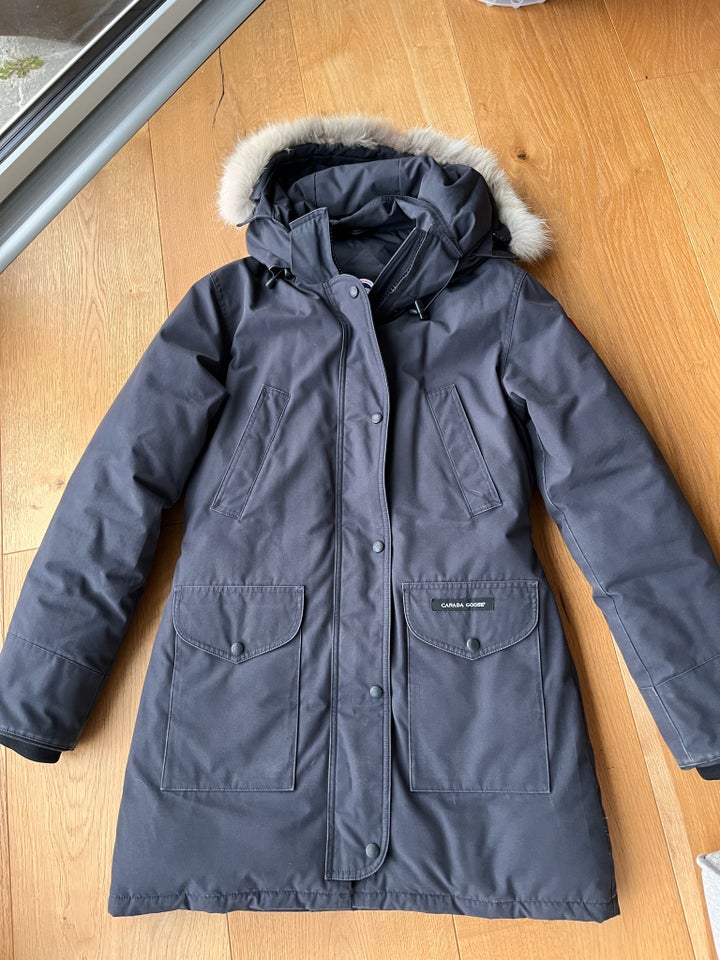 Frakke, str. 38, Canada Goose