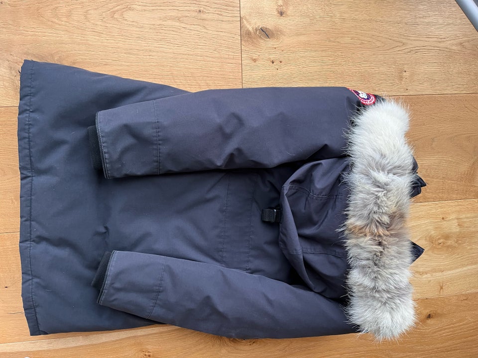 Frakke, str. 38, Canada Goose